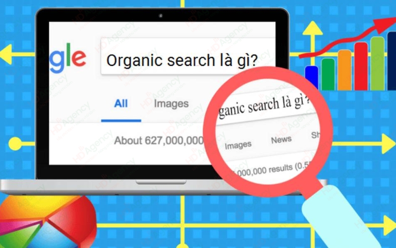 Organic Search Là Gì