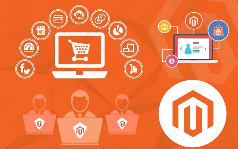 Thành Phần Cơ Bản Của Magento