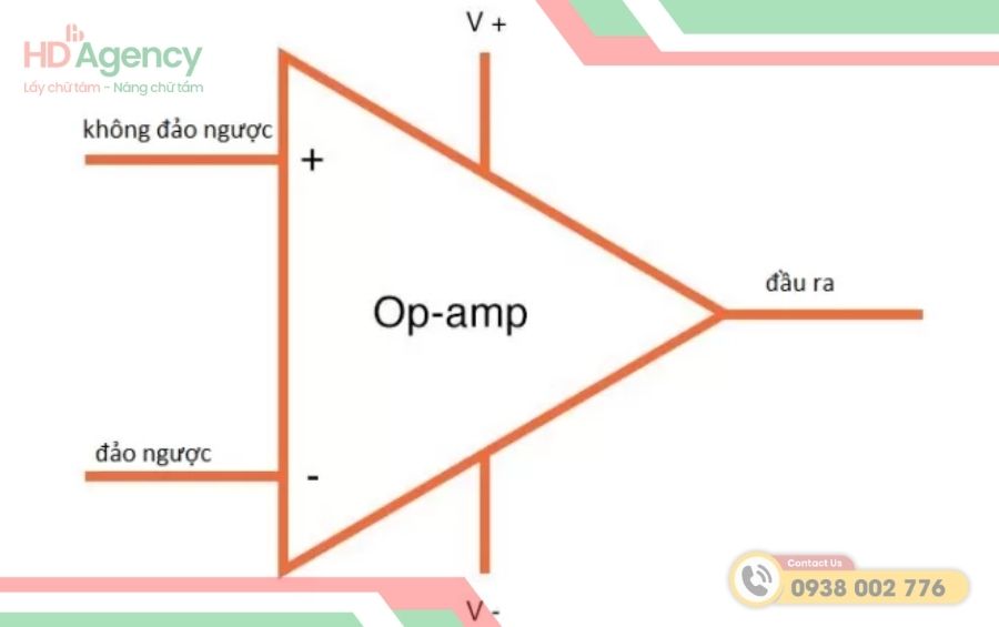 Tầm quan trọng của AMP trong SEO