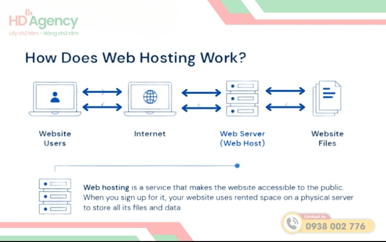 Cách Kiểm Tra Gói Host Của Website