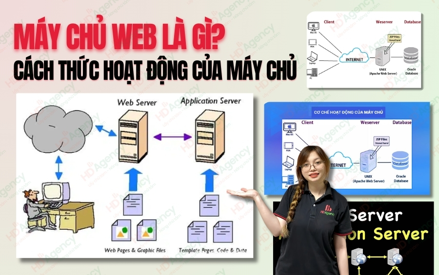 Máy chủ web là gì? Cách thức hoạt động của máy chủ