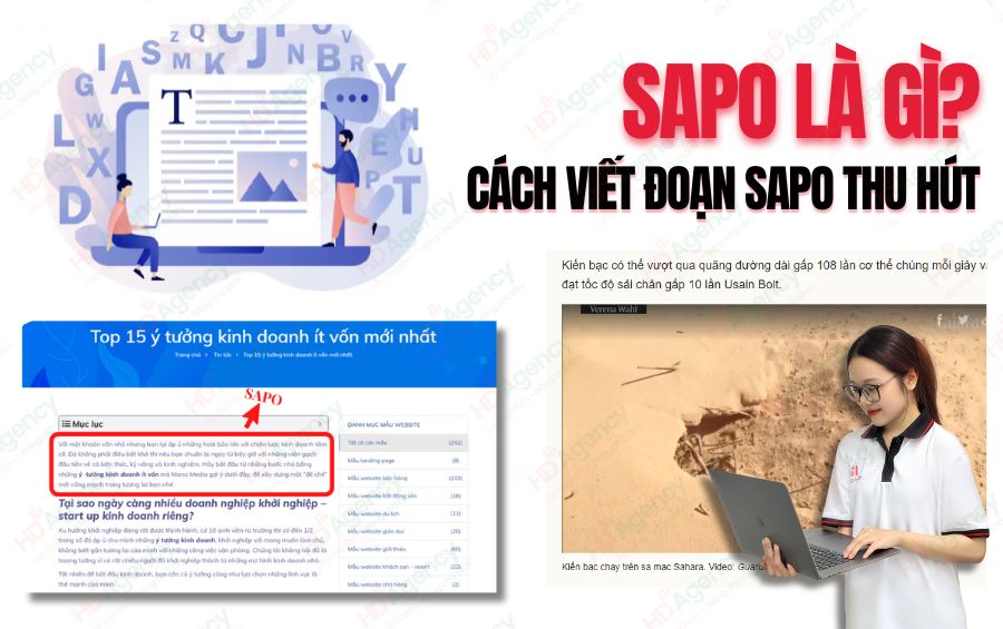 Sapo Là Gì? Cách Viết Đoạn Sapo Thu Hút