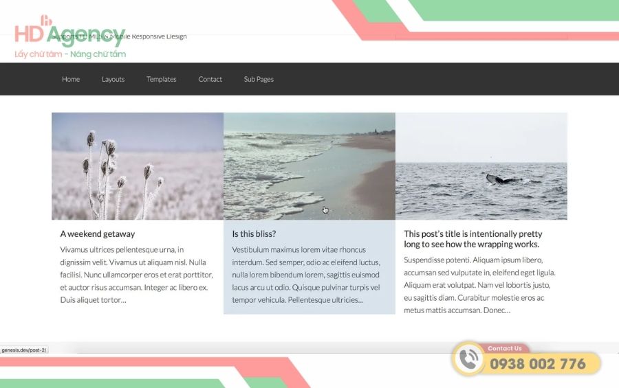 Widget trên website