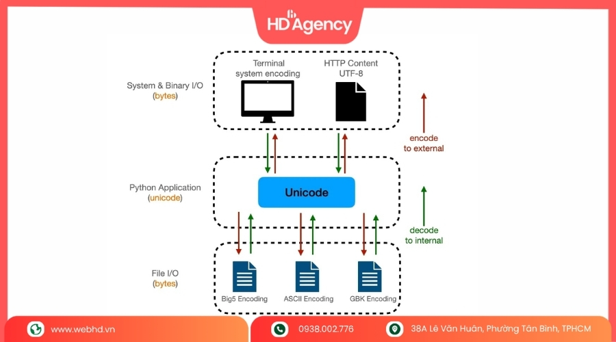 Các dạng encode phổ biến