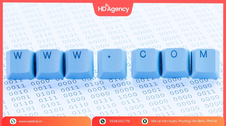 Việc cần làm ngay khi phát hiện tên miền hết hạn