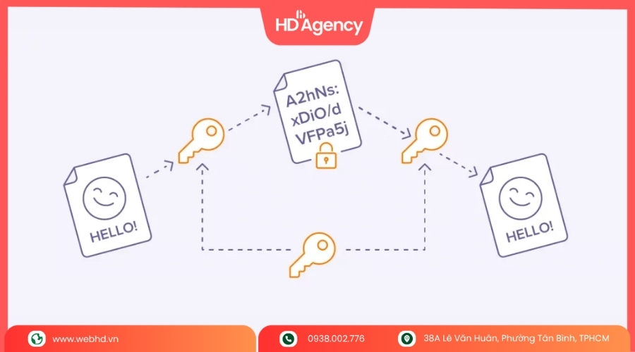 Decode trong lập trình