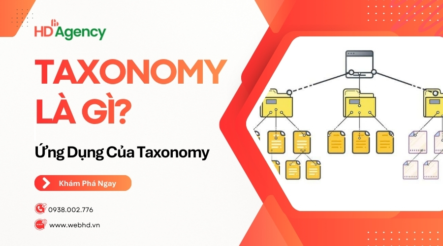 Taxonomy Là Gì? Ứng Dụng Của Taxonomy