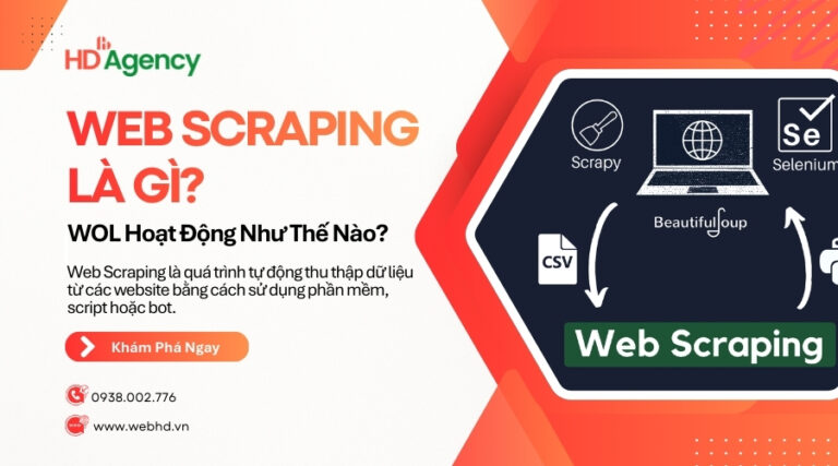 Web Scraping Là Gì