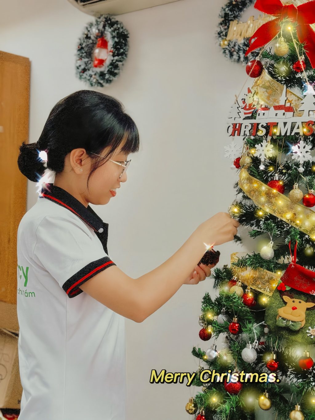 noel 2023 tai hd agency 8