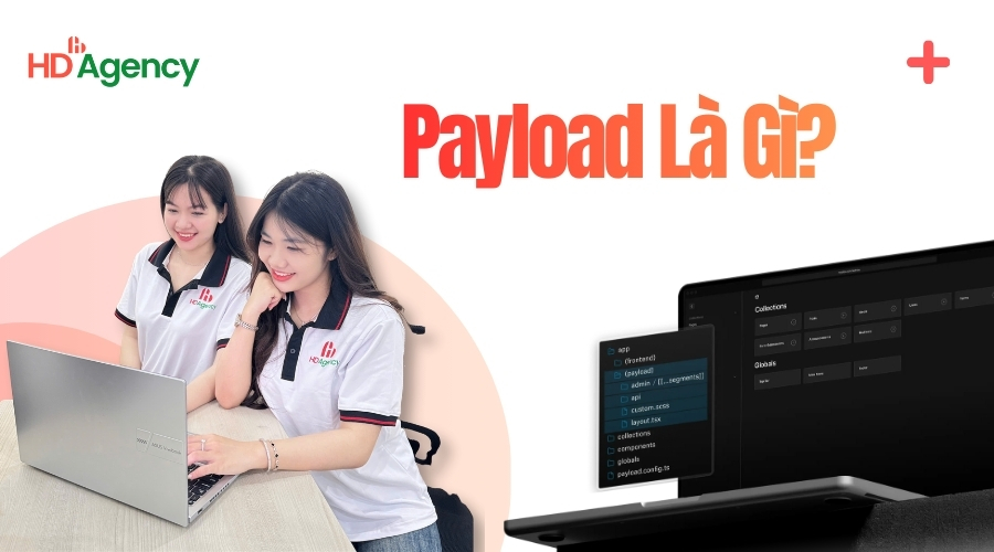 Payload Là Gì? Đặc Điểm Của Payload Khi Truyền Dữ Liệu