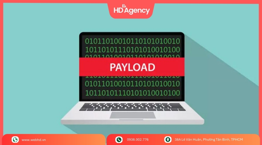 Payload Là Gì