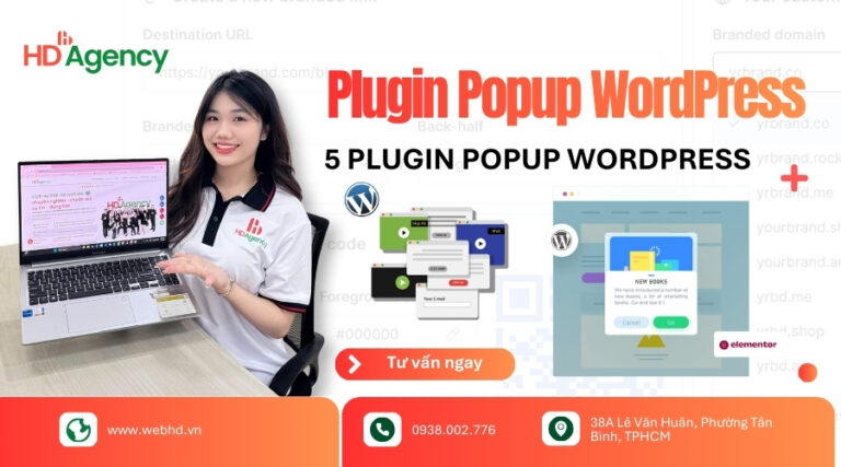 Plugin Popup WordPress