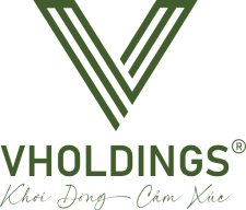V-Holdings