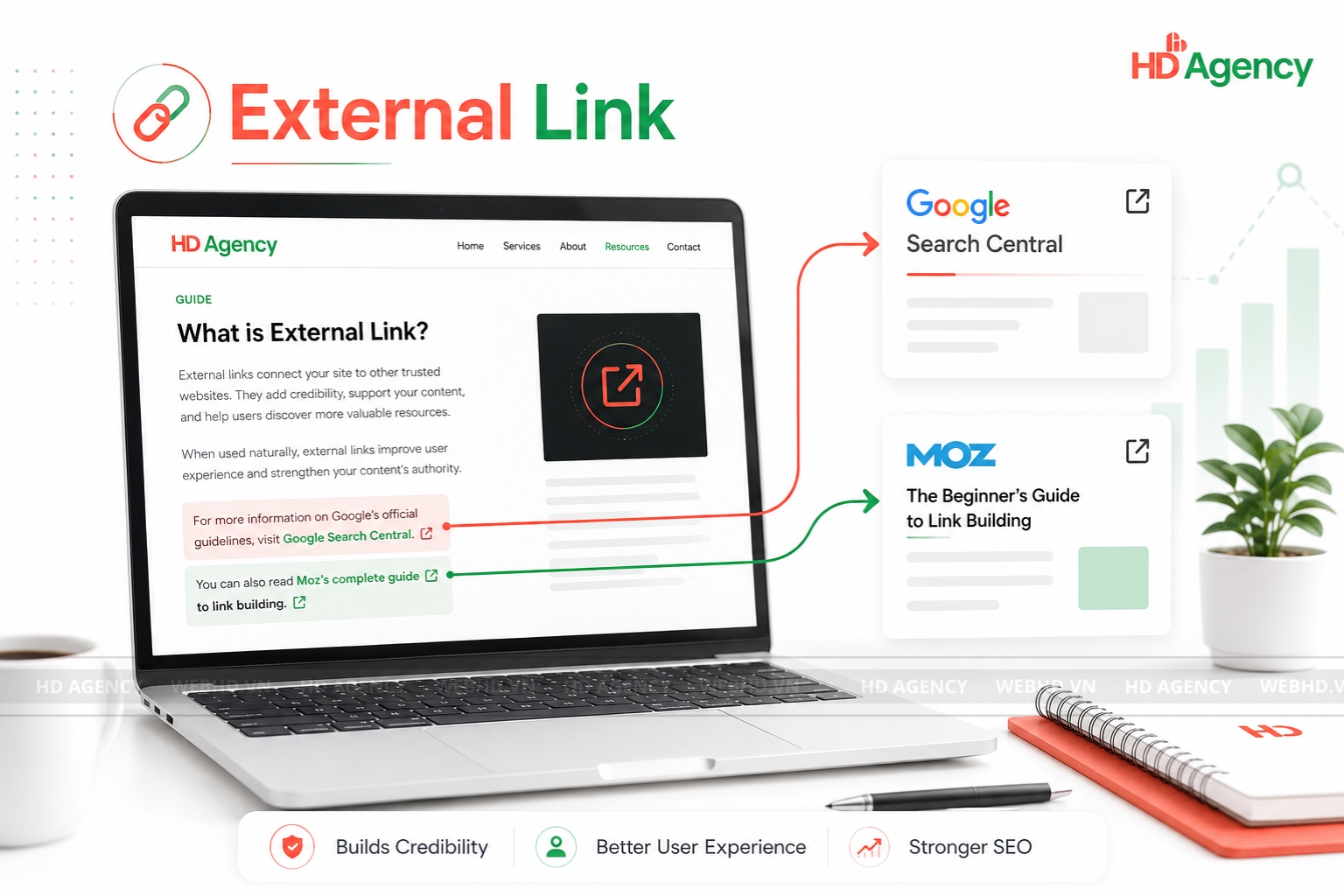 External Link là gì