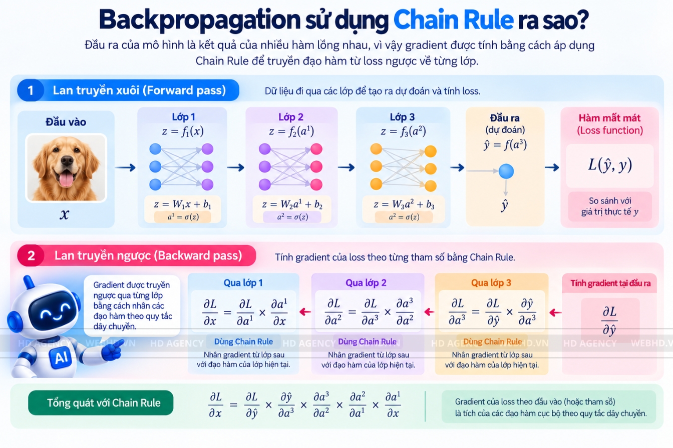 Backpropagation sử dụng Chain Rule ra sao