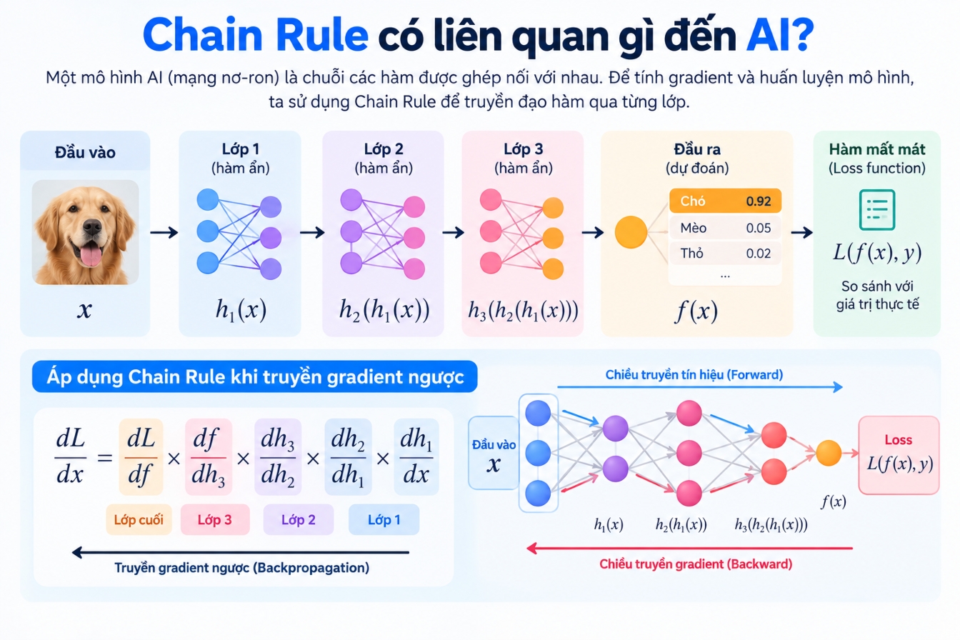 Chain Rule có liên quan gì đến AI